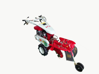 ��@����C�ڴ��[�Nֲ����ʲô����