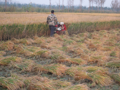 �ո�����C���B��헺���