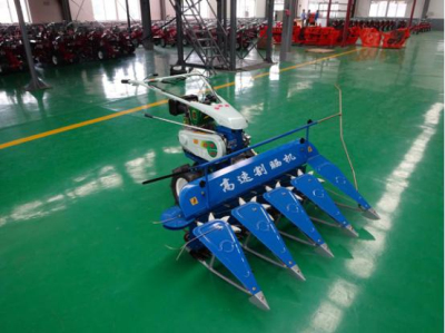 ʥ�؁����C(j��)��(y��u)��(sh��)��B